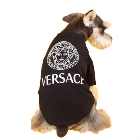 versace dog accessories|versace dog t shirt.